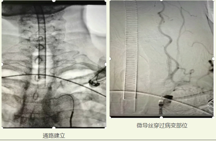 微信截图_20250227155202.png