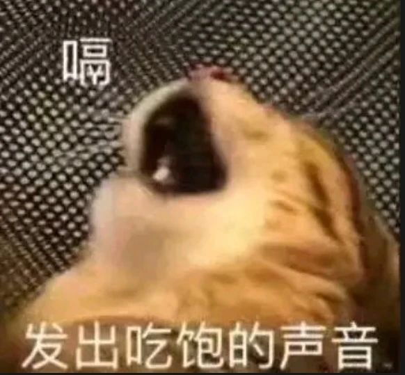 微信图片_2025-07-10_155509_891.jpg